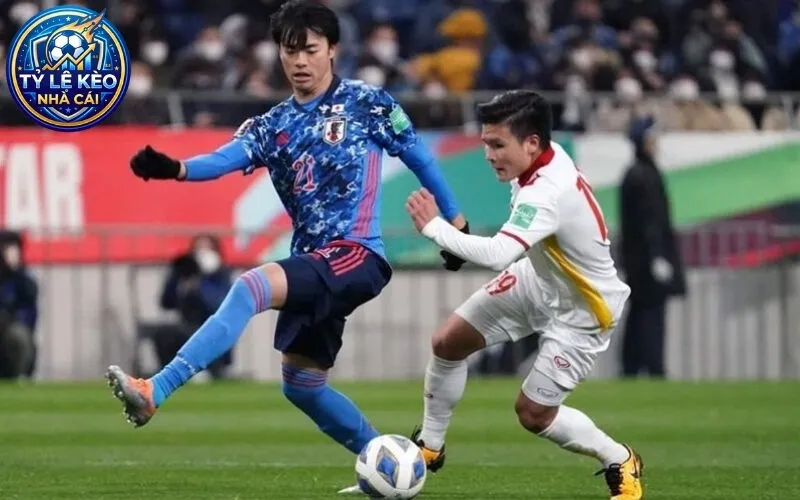 Giới Thiệu tylekeonhacai1